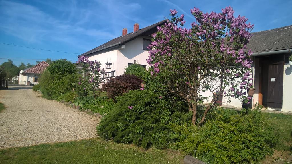 Nyirfas Camping Nagykanizsa Exterior photo